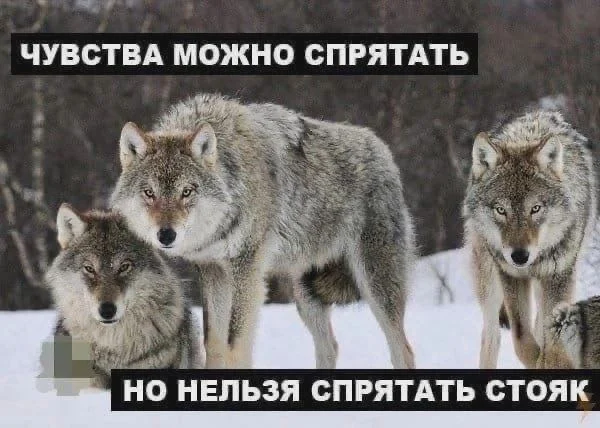 Нестандартный юмор #47