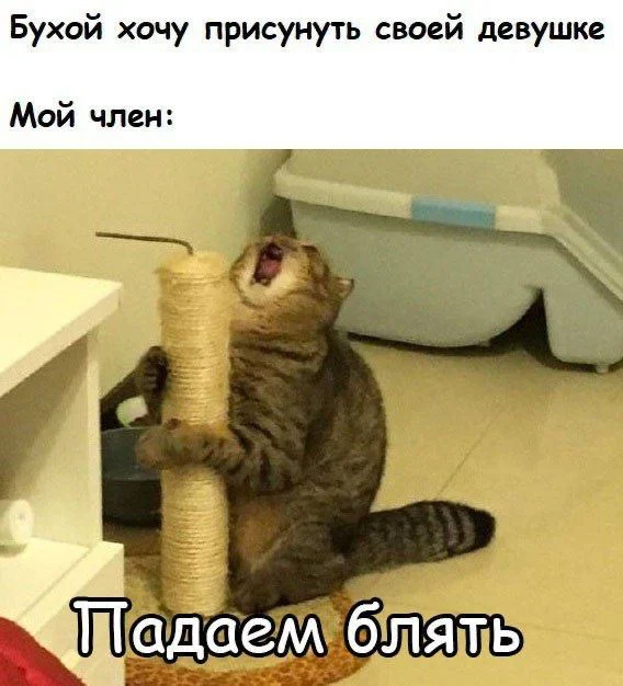 Нестандартный юмор #49