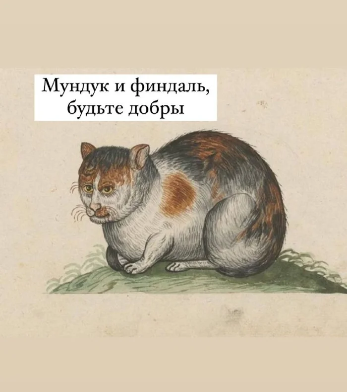 Силе фельди