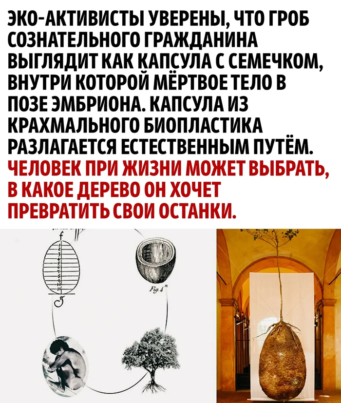 Эко-захоронение КАПСУЛА МУНДИ: безумие или будущее?