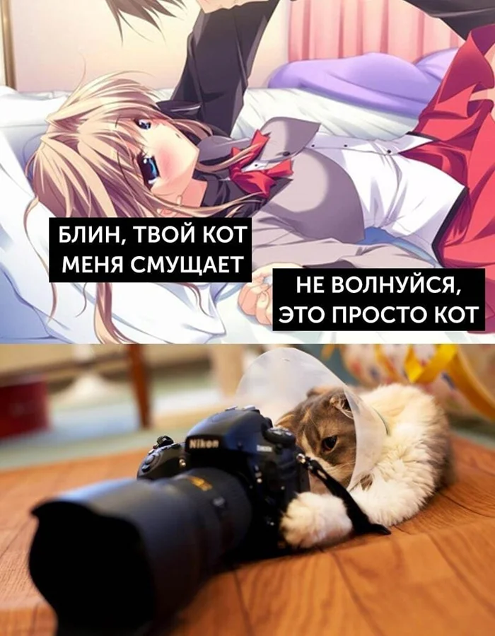 Свежие анимешные мемы