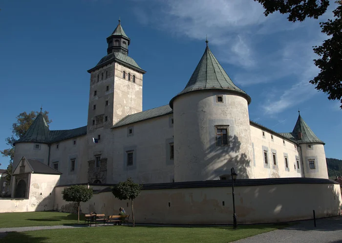 Лесная разбойница