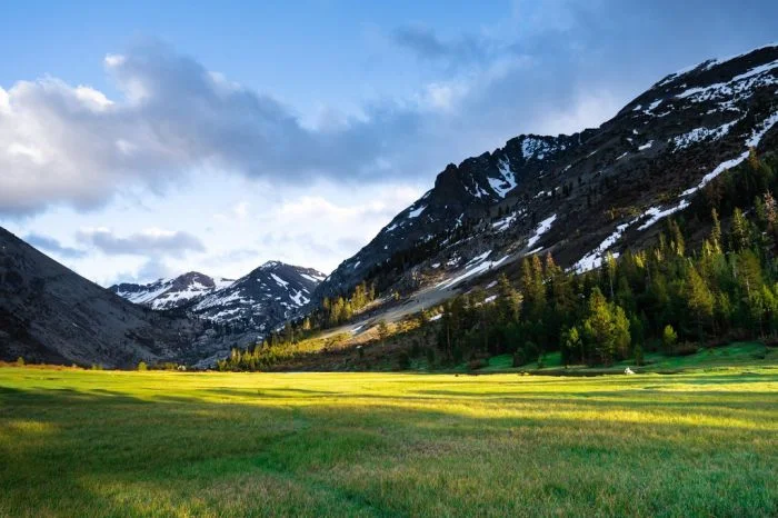 Красивые фотографии с дикой природой