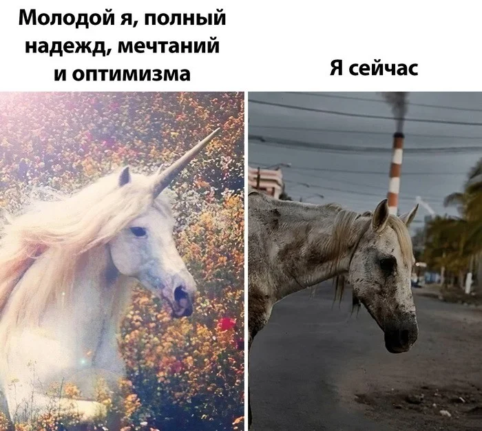 Скрины из соцсетей