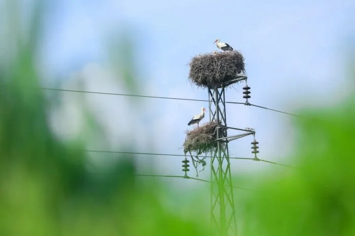 На общую тему