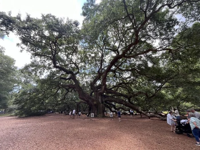 Реальные размеры гигантов: осознаем величие в сравнении