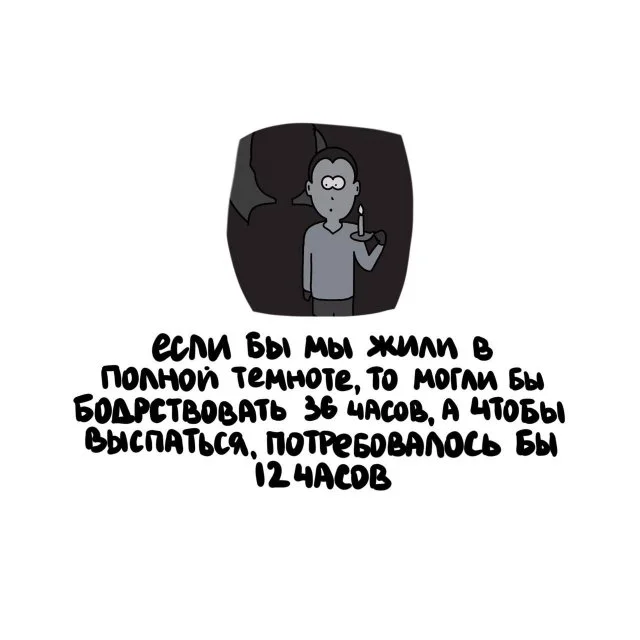 Занимательные факты для всех