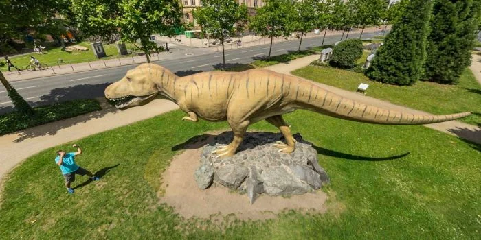 На общую тему