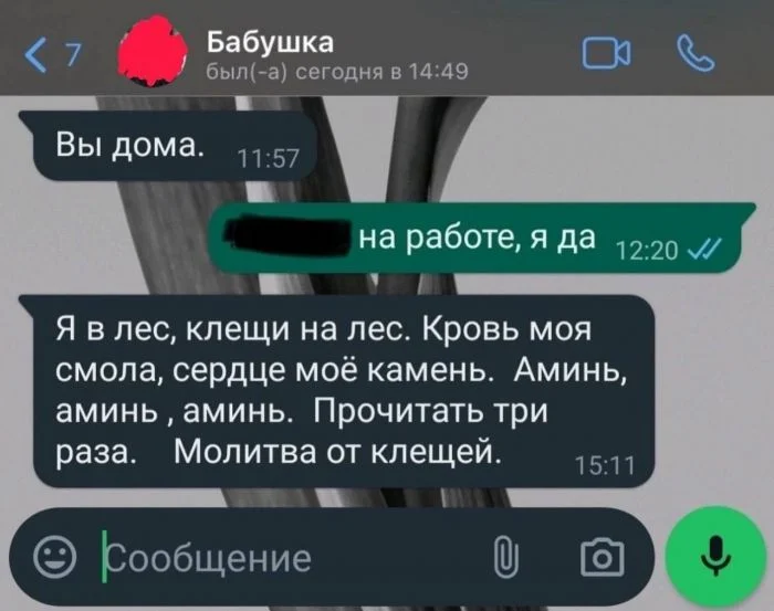 Смешные СМС от родных: от молитвы от клещей до весёлых моментов