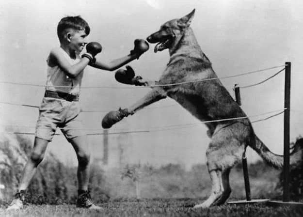 15 любопытных исторических фотографий