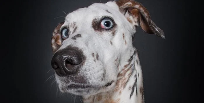 Я обдумываю свою идею