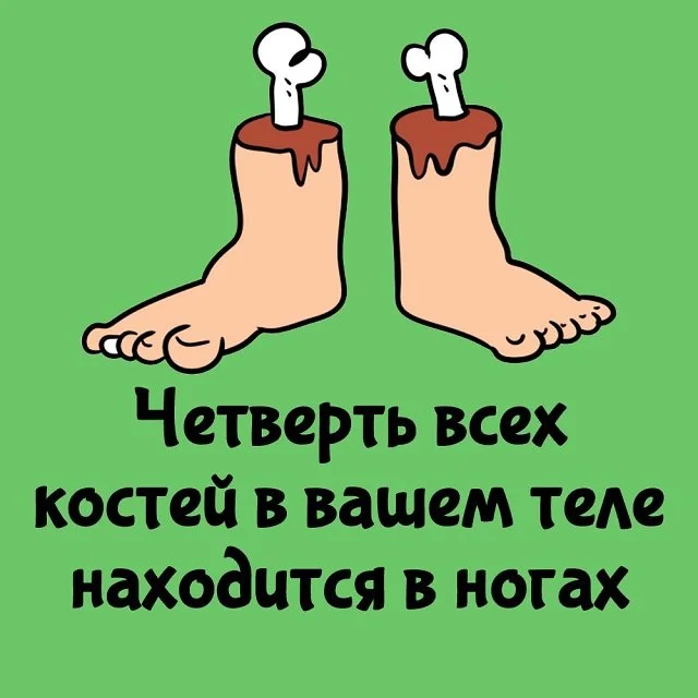 Увлекательные факты