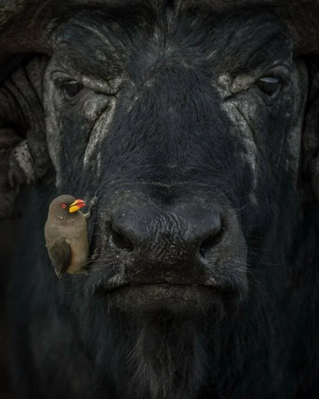 Намешалось