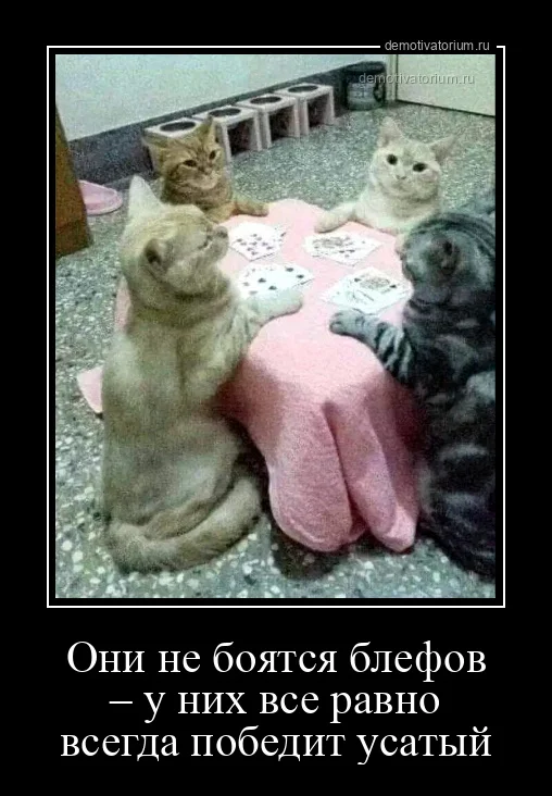 Прикольные демотиваторы