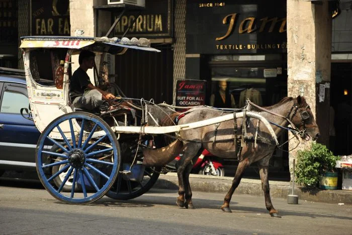 Намешалось