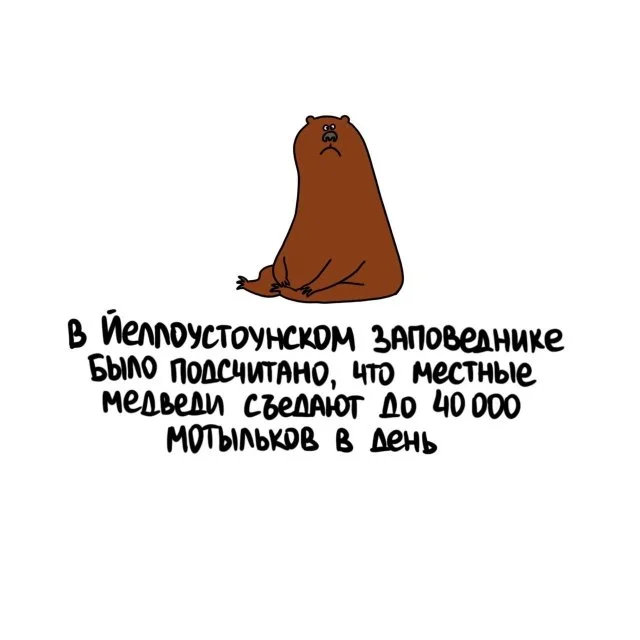 Любопытные факты для любого случая