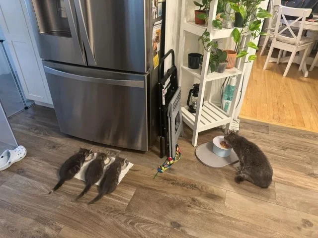 Всё вразнобой