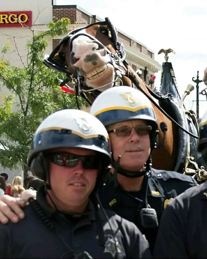 25 фотографий, которые вызывают искренний восторг