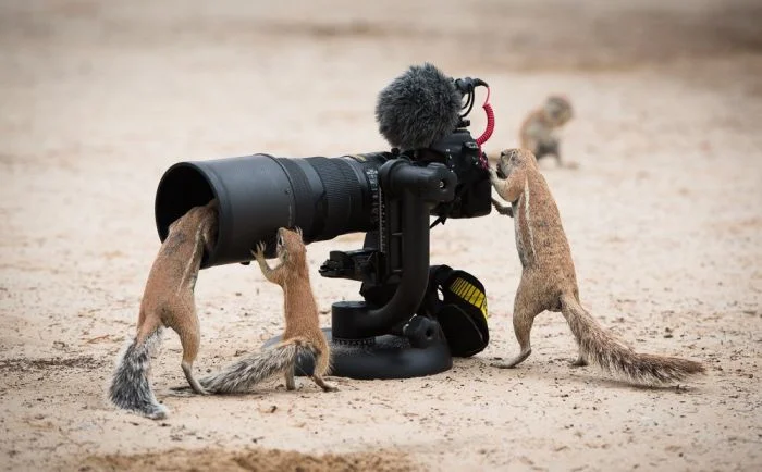 Намешалось: Красивые и интересные картинки