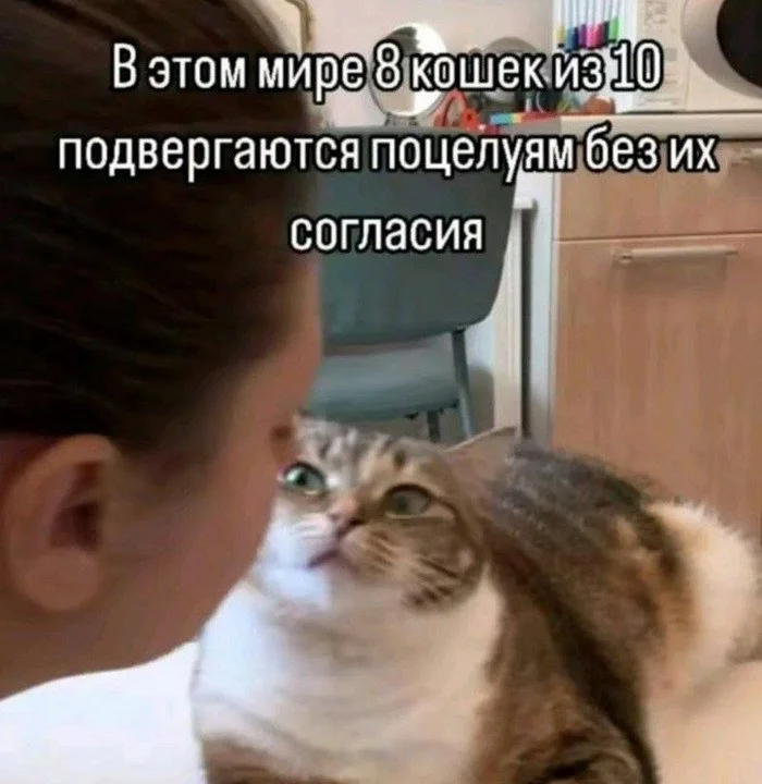 А вот и скрины