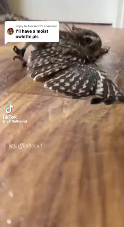 Не переставай это делать, Хозяин⁠⁠