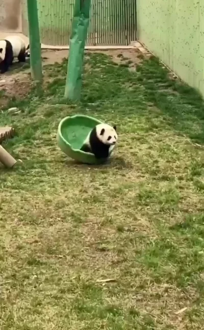 Мастер маскировки