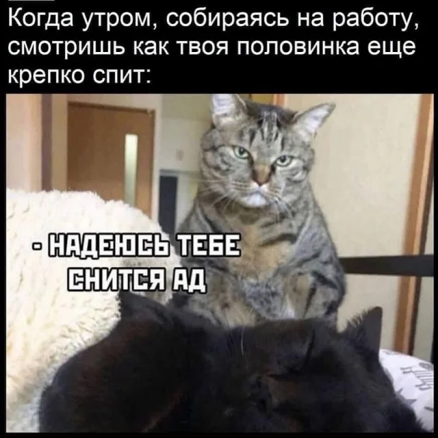 Мини деградация