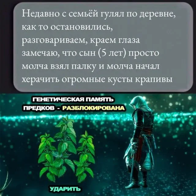 Баяны бабаяны