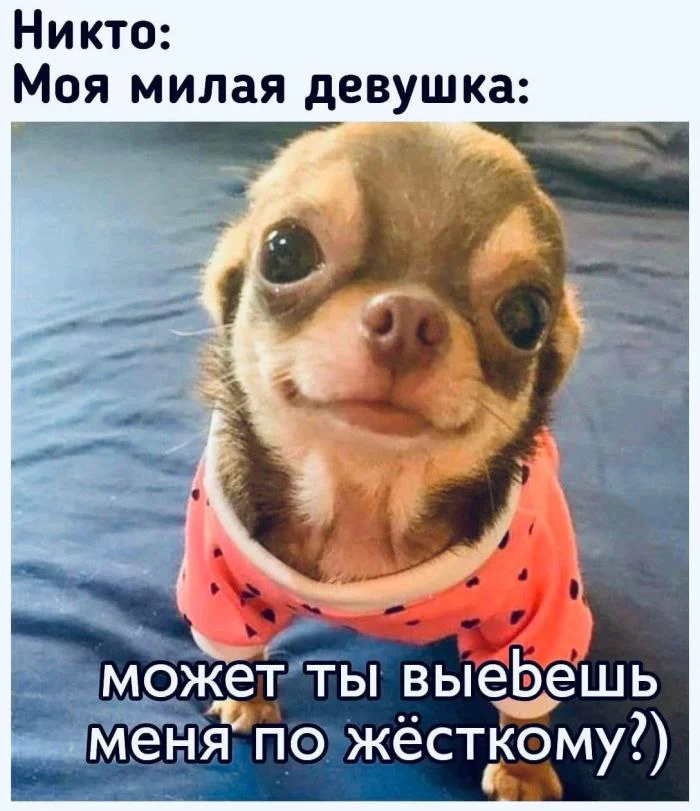 Нестандартный юмор #55