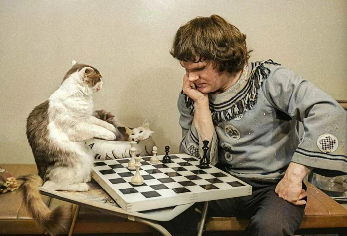 "Веселые коты: подборка забавных фото для поднятия настроения. 20 раскрашенных снимков ХХ века