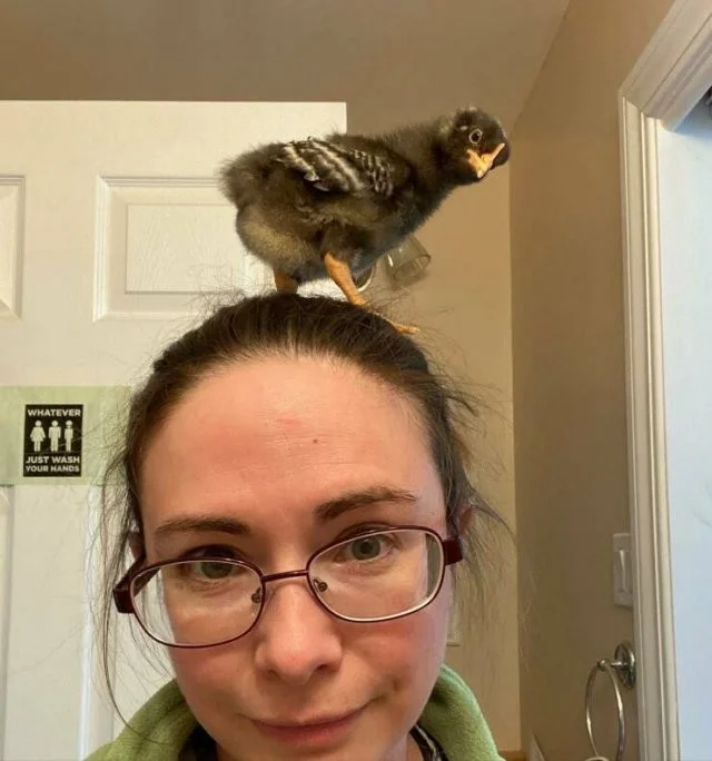 Намешалось