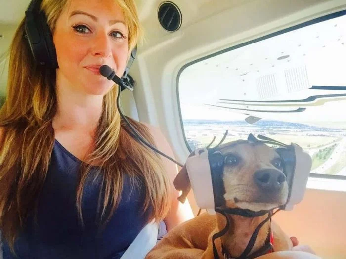 На общую тему