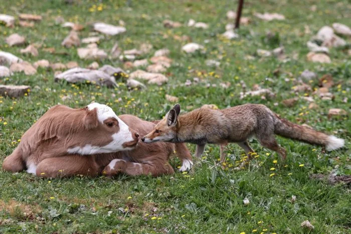 Намешалось ещё немного