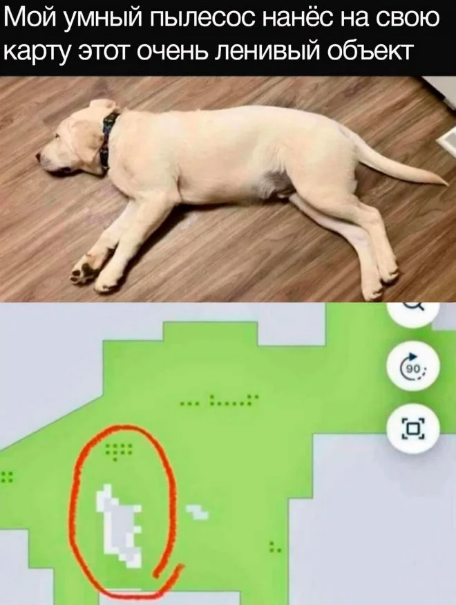 Скрины из соцсетей (05.07.24)