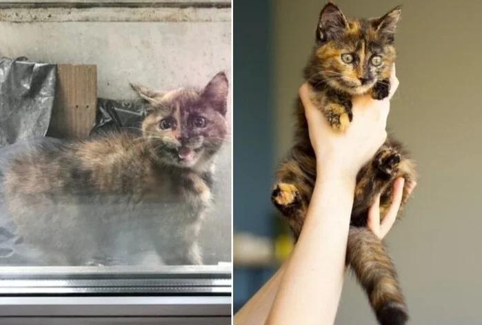 21 счастливчик, встретивший на пути ангелов