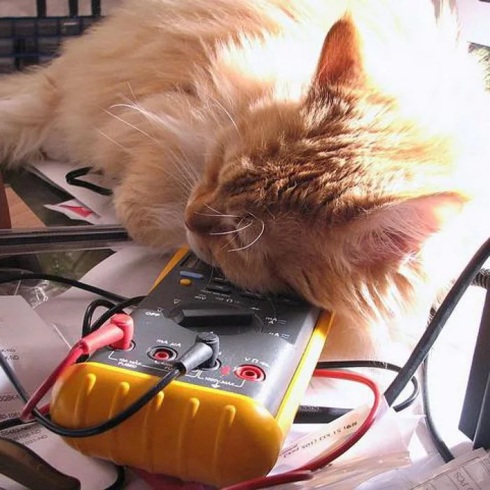 Котяра и гаджеты