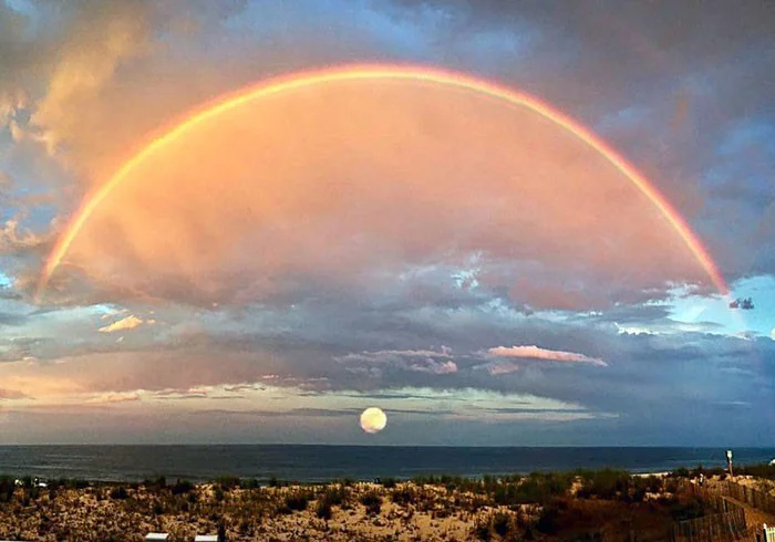 Когда удача улыбнулась: 25 потрясающих фотографий