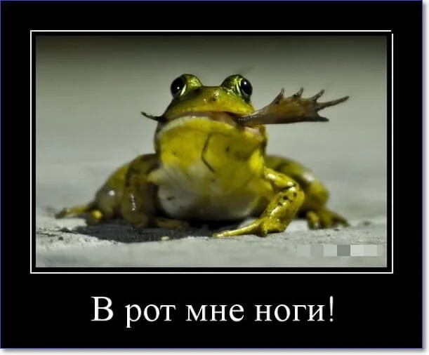 Демотиваторы