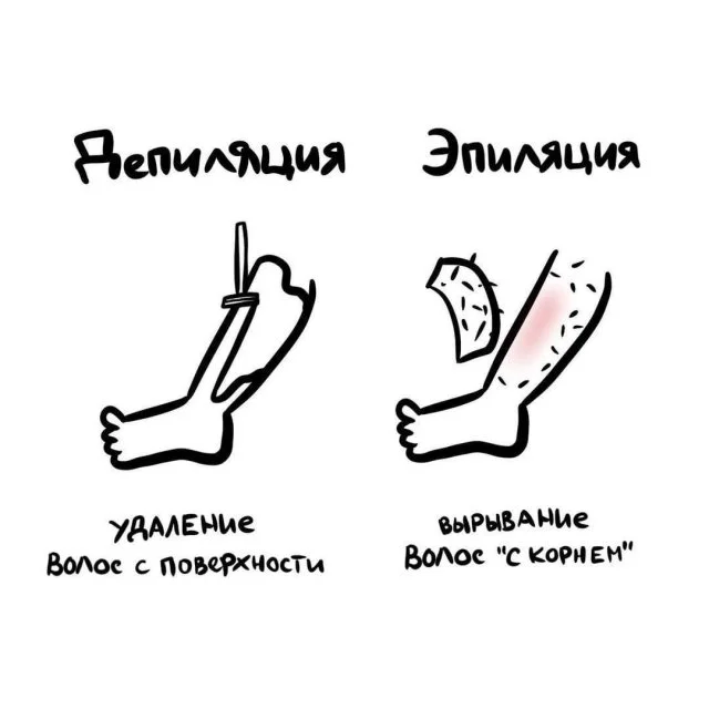 Занимательные факты для любого случая