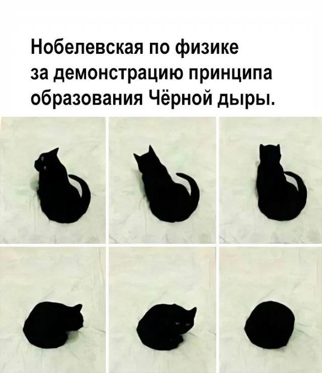 Юмор для знатоков науки: шутки и мемы из мира физики и математики