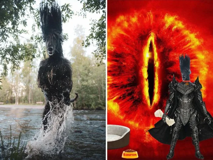 14 комичных шедевров фотошопа, созданных экспертами