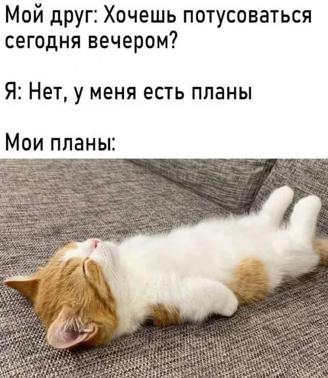 Шорты скриншоты