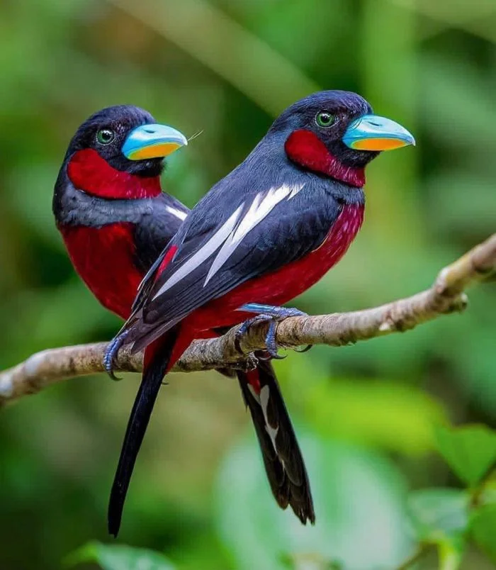 На общую тему