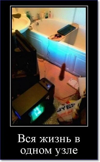 Свежие демотиваторы