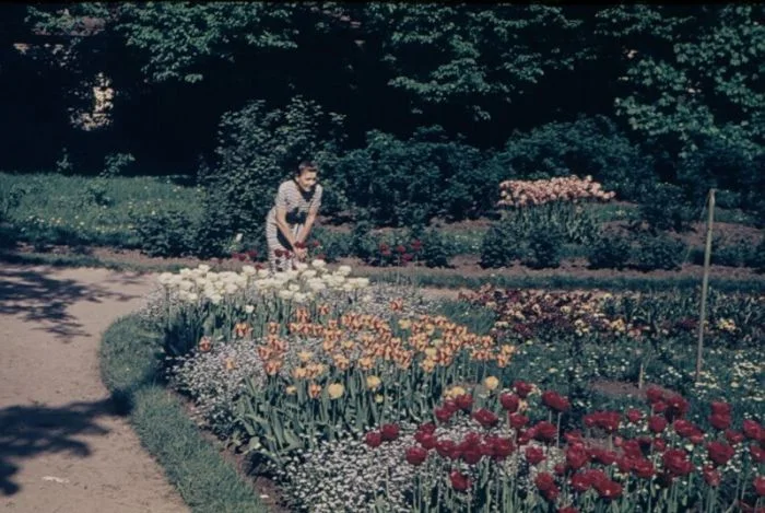 Фотографии из жизни в СССР: интересные моменты