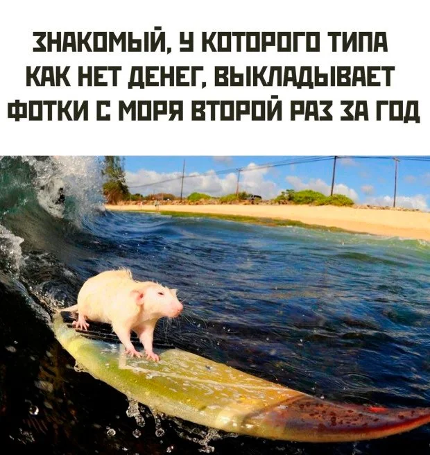 Скриншотнули