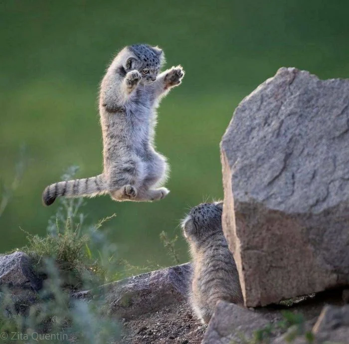 На общую тему