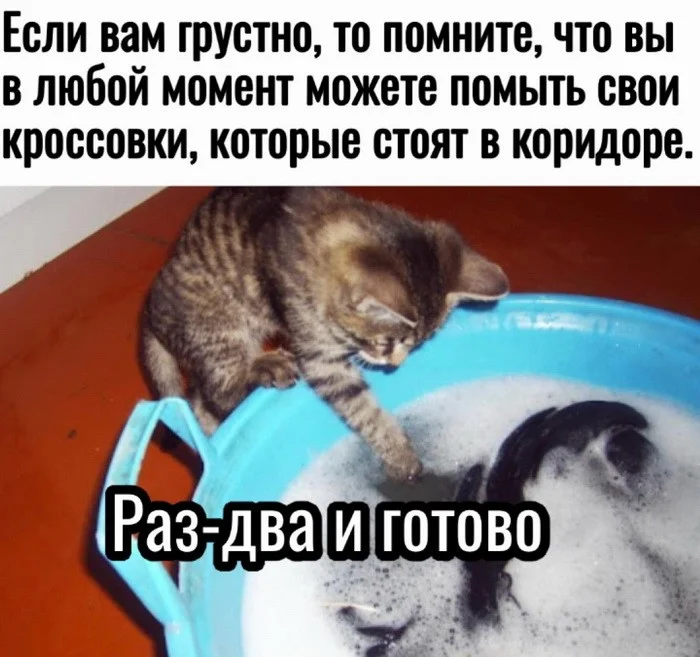 Скрины из соцсетей