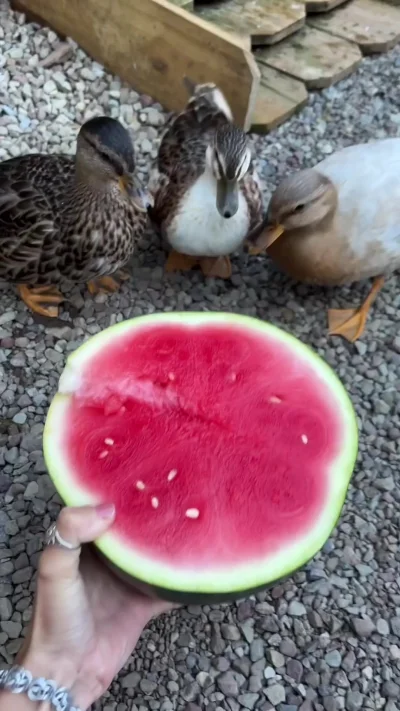 Ммм... арбузик