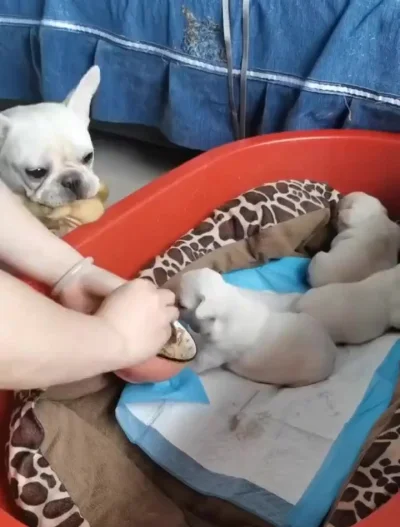 Мать, ты ещё одного забыла
